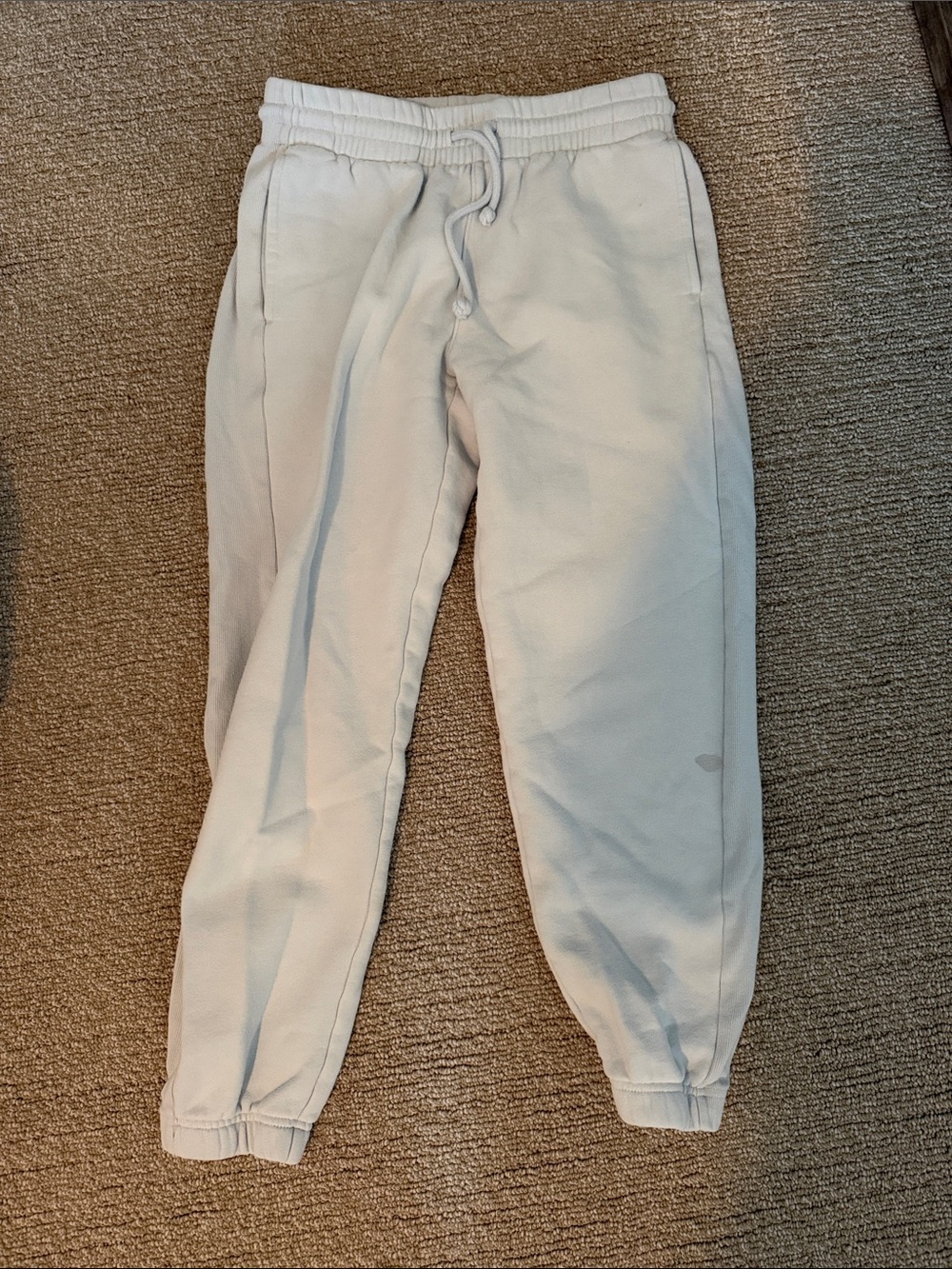 Aritzia TNA light blue Jogger Sweatpants - Comfort Fit